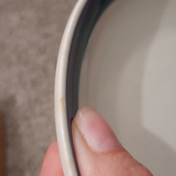 Pfaltzgraff Northwinds 10 salad plates - Picture 6 of 6